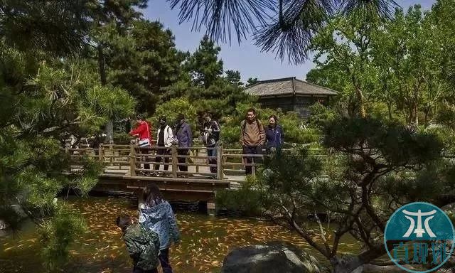 乡村规划设计、重庆本真乡村规划设计院、乡村旅游、特色小镇规划、田园综合体规划